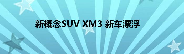 新概念SUV XM3 新车漂浮