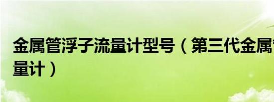 金属管浮子流量计型号（第三代金属管浮子流量计）