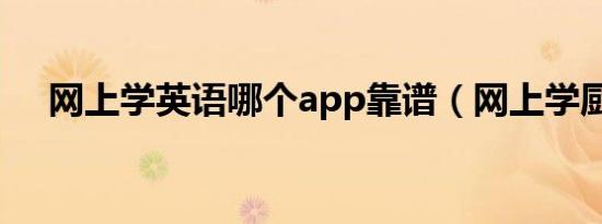 网上学英语哪个app靠谱（网上学厨艺）