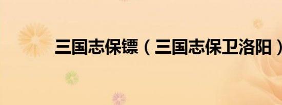 三国志保镖（三国志保卫洛阳）