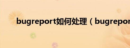 bugreport如何处理（bugreport）