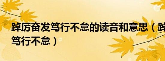 踔厉奋发笃行不怠的读音和意思（踔厉奋发 笃行不怠）