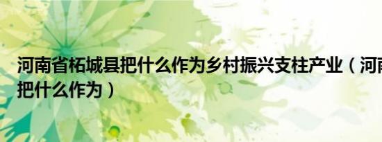 河南省柘城县把什么作为乡村振兴支柱产业（河南省柘城县把什么作为）