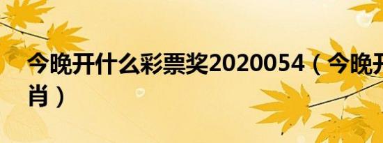 今晚开什么彩票奖2020054（今晚开什么生肖）