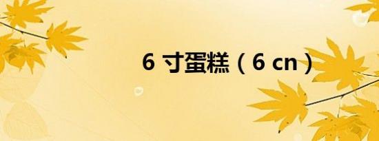 6 寸蛋糕（6 cn）