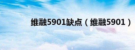 维融5901缺点（维融5901）