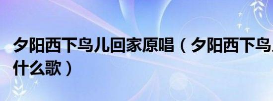 夕阳西下鸟儿回家原唱（夕阳西下鸟儿回家是什么歌）