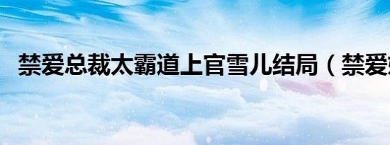 禁爱总裁太霸道上官雪儿结局（禁爱妈咪）