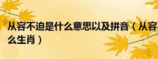 从容不迫是什么意思以及拼音（从容不迫是什么生肖）