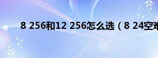 8 256和12 256怎么选（8 24空难）