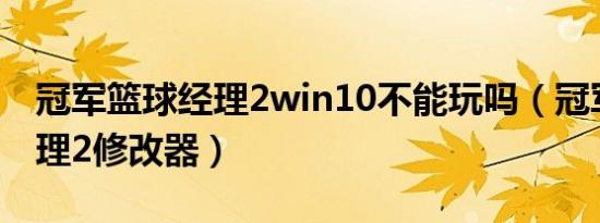 冠军篮球经理2win10不能玩吗（冠军篮球经理2修改器）