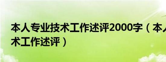 本人专业技术工作述评2000字（本人专业技术工作述评）