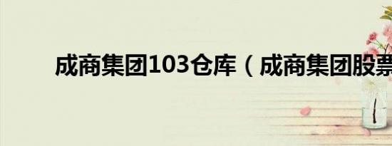 成商集团103仓库（成商集团股票）