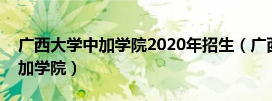 广西大学中加学院2020年招生（广西大学中加学院）