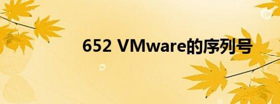 652 VMware的序列号