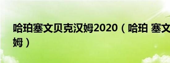 哈珀塞文贝克汉姆2020（哈珀 塞文 贝克汉姆）