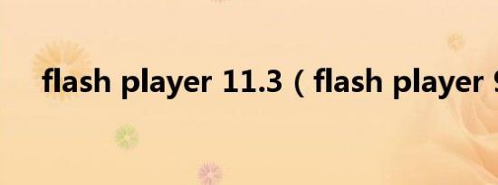 flash player 11.3（flash player 9 0）