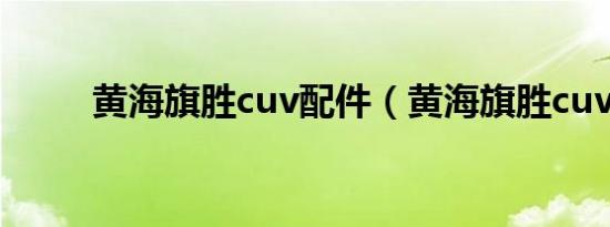 黄海旗胜cuv配件（黄海旗胜cuv）