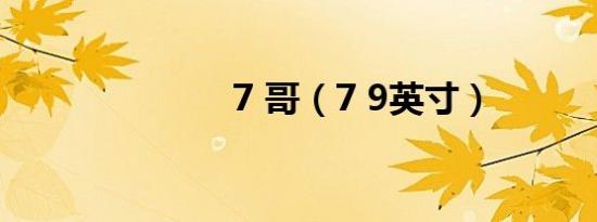 7 哥（7 9英寸）