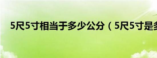 5尺5寸相当于多少公分（5尺5寸是多高）