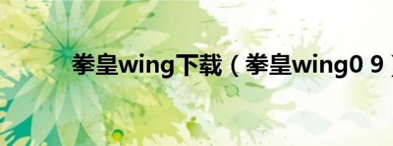 拳皇wing下载（拳皇wing0 9）