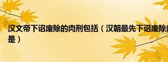 汉文帝下诏废除的肉刑包括（汉朝最先下诏废除肉刑的皇帝是）