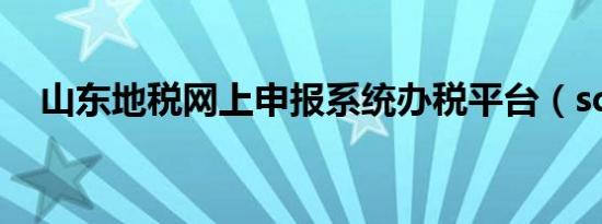 山东地税网上申报系统办税平台（sdds）