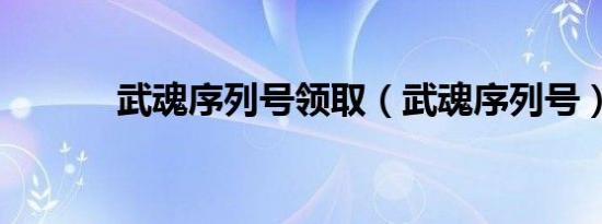 武魂序列号领取（武魂序列号）