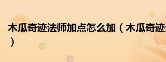 木瓜奇迹法师加点怎么加（木瓜奇迹法师加点）