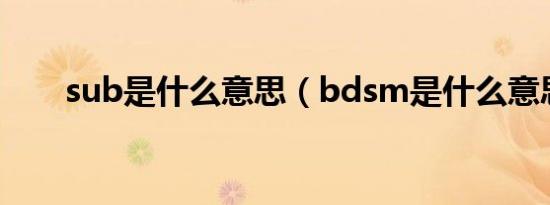 sub是什么意思（bdsm是什么意思）