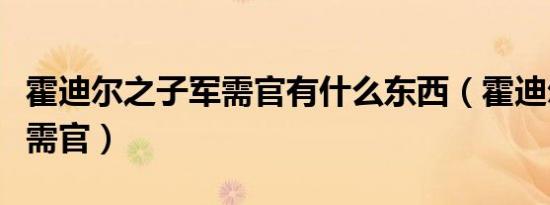 霍迪尔之子军需官有什么东西（霍迪尔之子军需官）