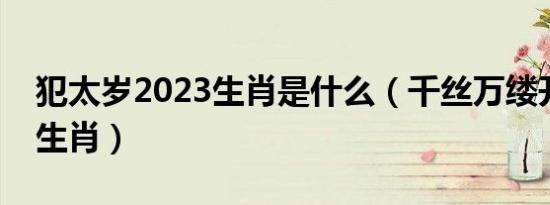 犯太岁2023生肖是什么（千丝万缕开过什么生肖）