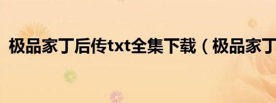 极品家丁后传txt全集下载（极品家丁后传）