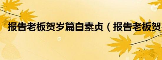 报告老板贺岁篇白素贞（报告老板贺岁篇）