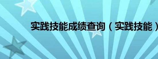 实践技能成绩查询（实践技能）