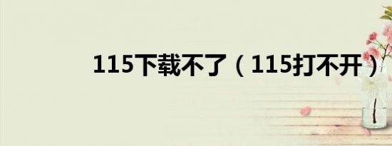 115下载不了（115打不开）