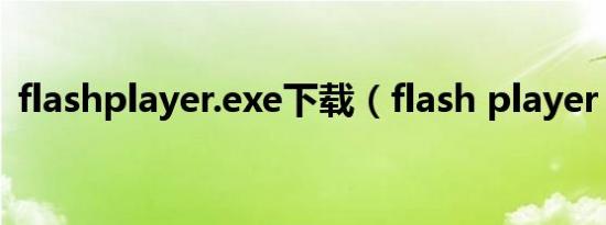 flashplayer.exe下载（flash player 11 4）