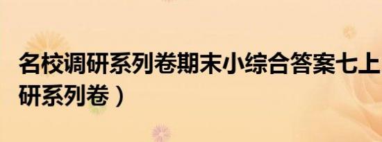 名校调研系列卷期末小综合答案七上（名校调研系列卷）