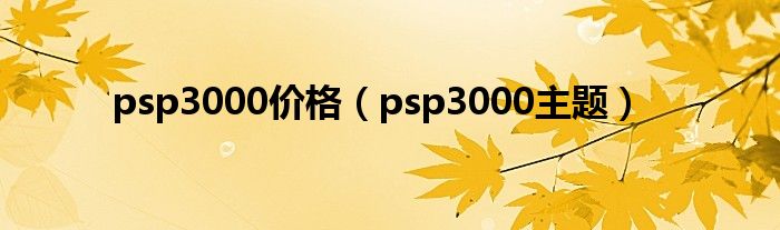 psp3000价格（psp3000主题）