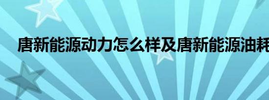 唐新能源动力怎么样及唐新能源油耗大吗