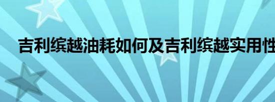 吉利缤越油耗如何及吉利缤越实用性高吗