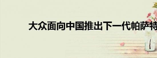 大众面向中国推出下一代帕萨特