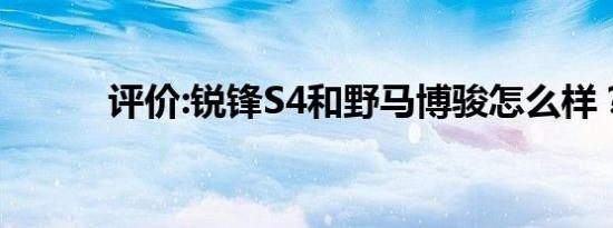 评价:锐锋S4和野马博骏怎么样？