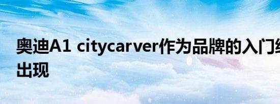 奥迪A1 citycarver作为品牌的入门级跨界车出现