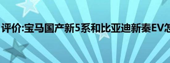 评价:宝马国产新5系和比亚迪新秦EV怎么样？