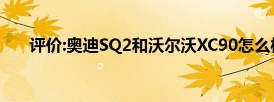 评价:奥迪SQ2和沃尔沃XC90怎么样？