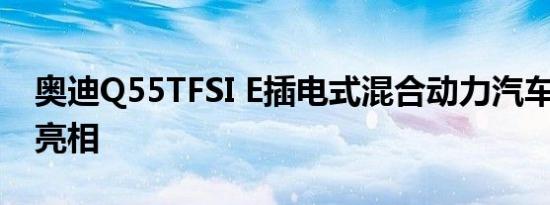 奥迪Q55TFSI E插电式混合动力汽车2020年亮相