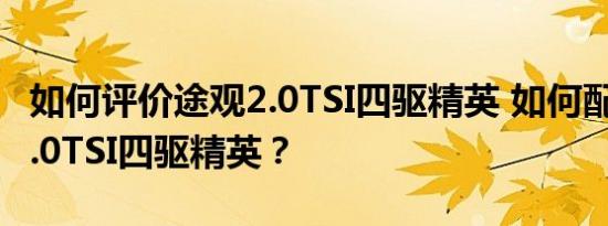 如何评价途观2.0TSI四驱精英 如何配置途观2.0TSI四驱精英？