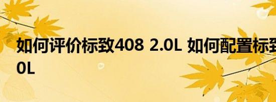 如何评价标致408 2.0L 如何配置标致408 2.0L