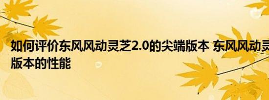 如何评价东风风动灵芝2.0的尖端版本 东风风动灵芝2.0尖端版本的性能